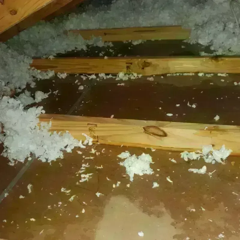 Attic Water Damage in Jonestown, TX